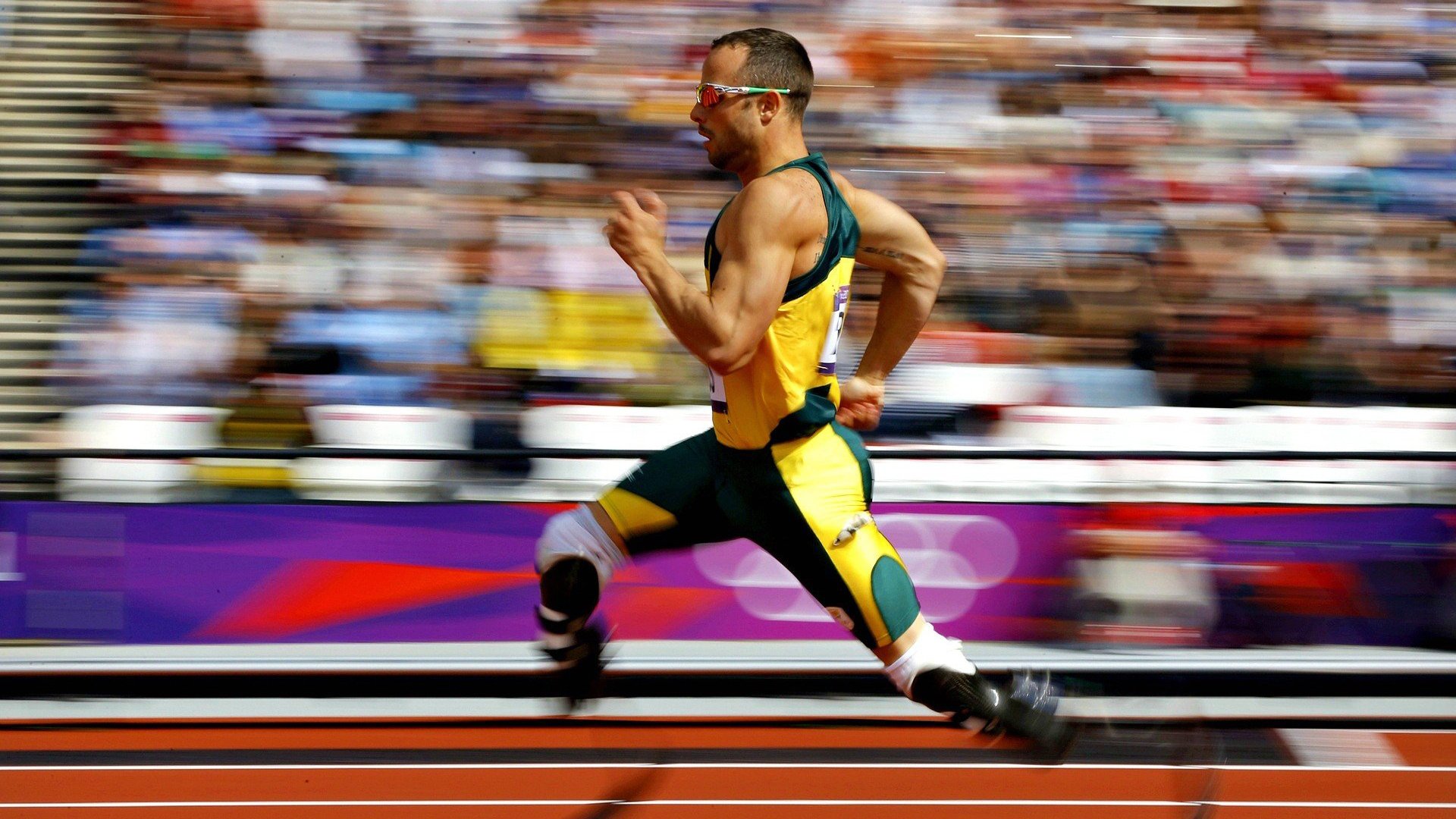 数贸会“丝路电商日”：开放、创新、互信并进